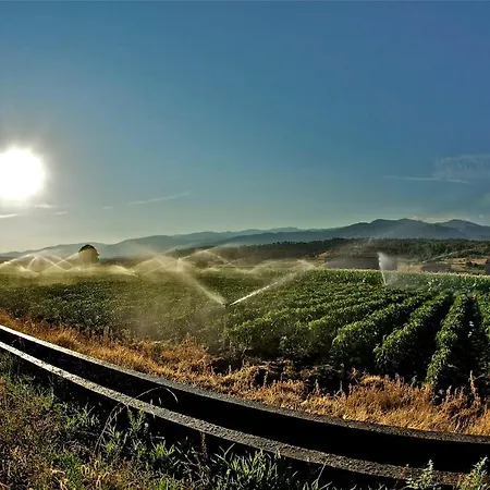 Calle Real En La Vera Villanueva De La Vera