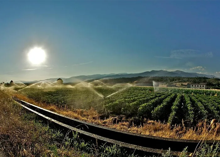 Calle Real En La Vera Villanueva De La Vera