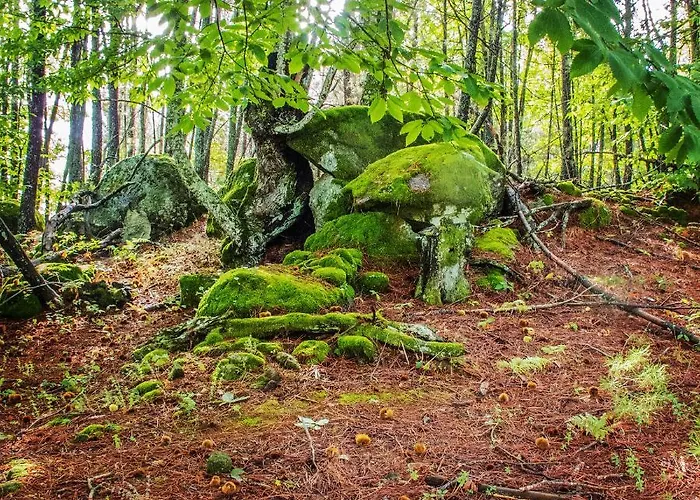 Сasa de vacaciones Calle Real En La Vera *